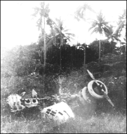 Wrecked Airplane in Jungle
