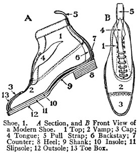 Shoe Definition Graphic