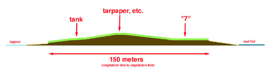 Site Cross- Section
