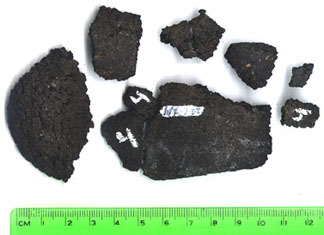 Sole Fragments 2