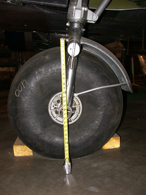 Wheel with scale