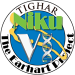 Niku VI logo