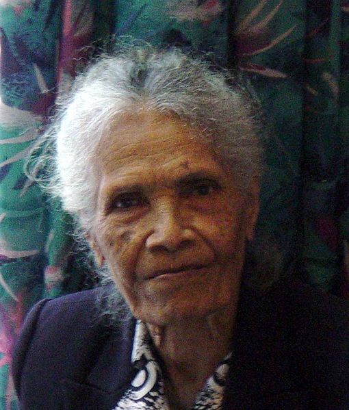 File:Sikuli 2 2003.jpg